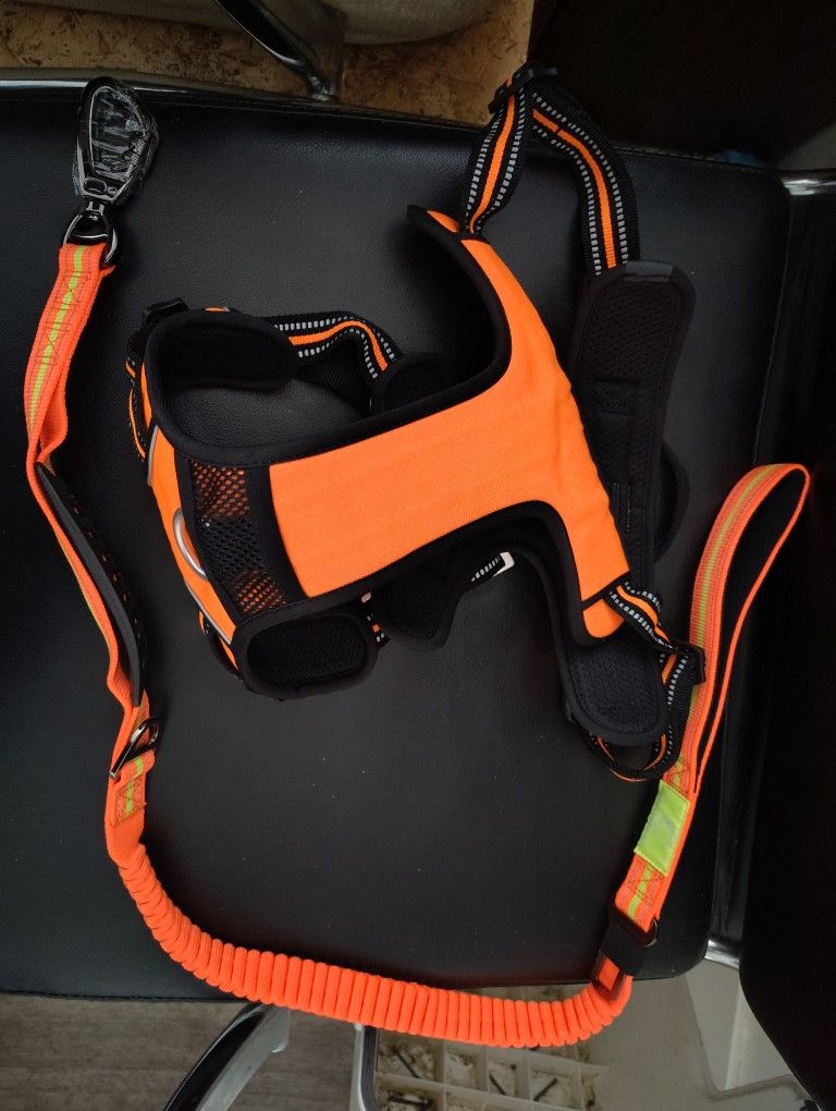 Brand New Extra Large Dog Harness And Leash