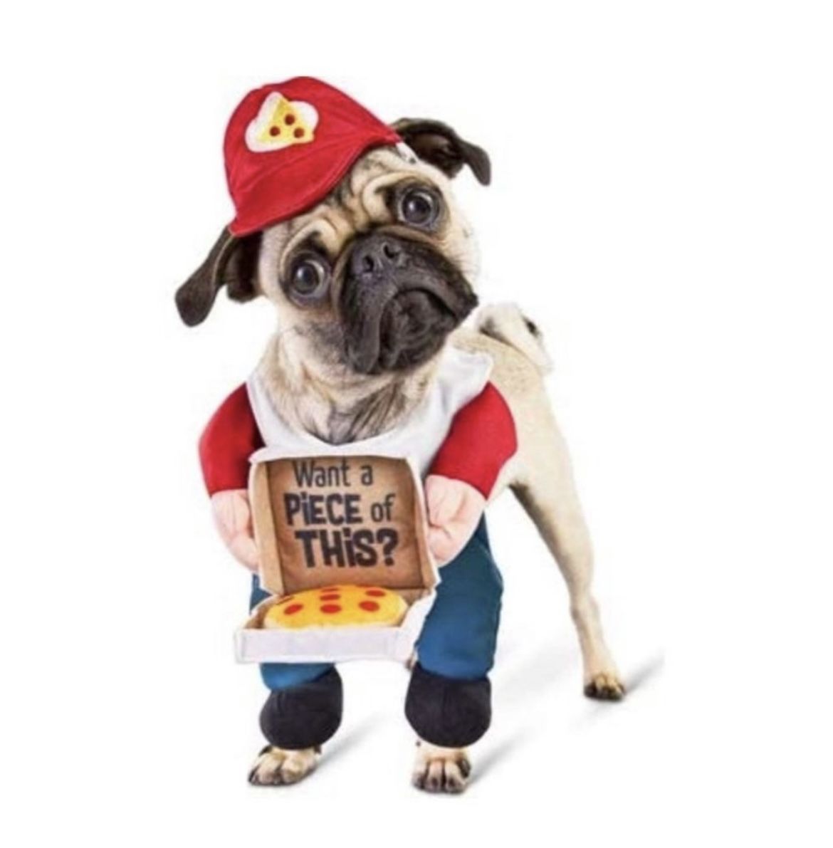 Dog Pizza Delivery Costume