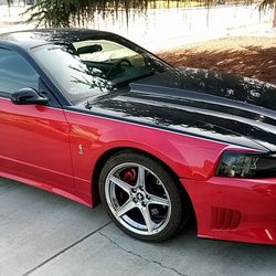 1999 Cobra  Mustang