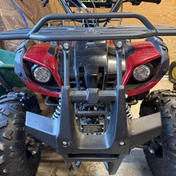 Tao Tao Bull 150 - Used - NEGOTIATING 