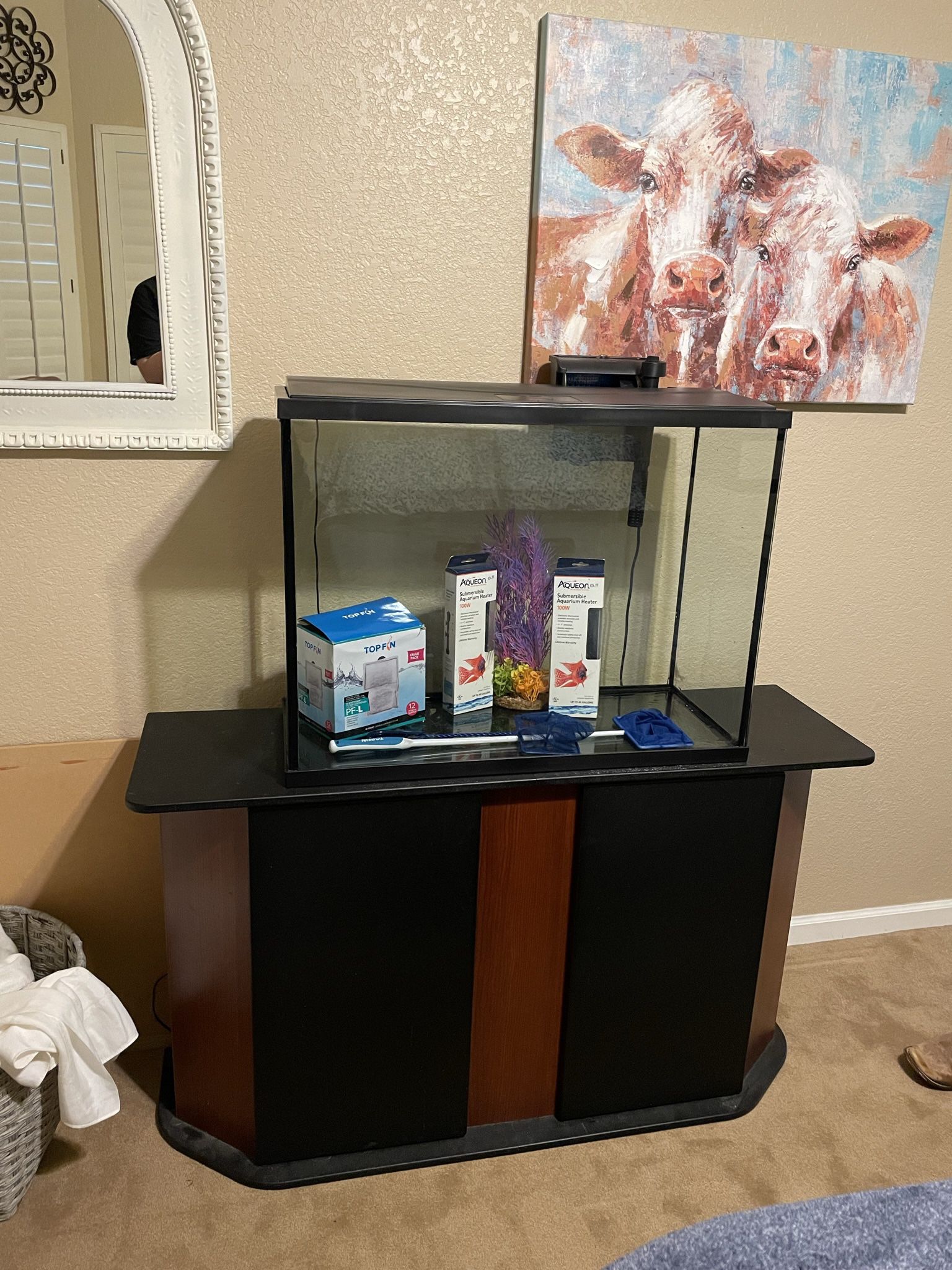 37 Gallon Tank And Stand