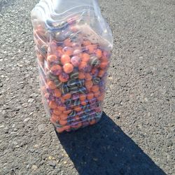 Paint Balls 800 Count