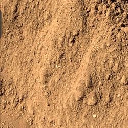 Dirt 