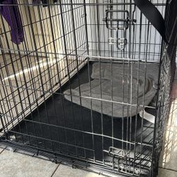 dog crate