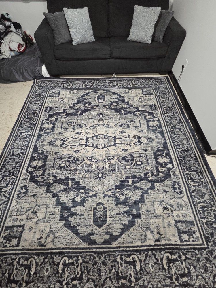 Queen Size Pull Out Couch And Area Rug