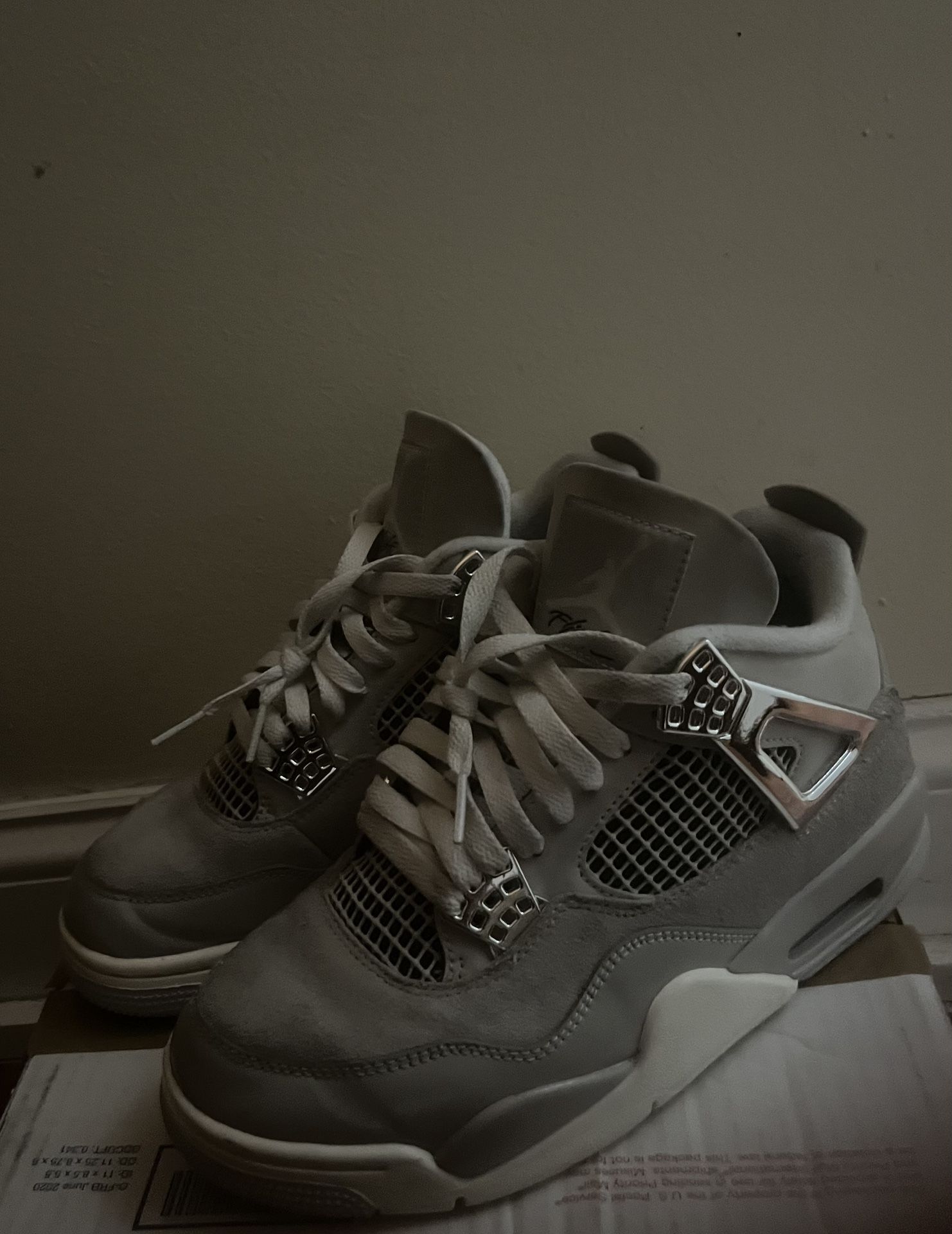 Jordan 4 frozen moments