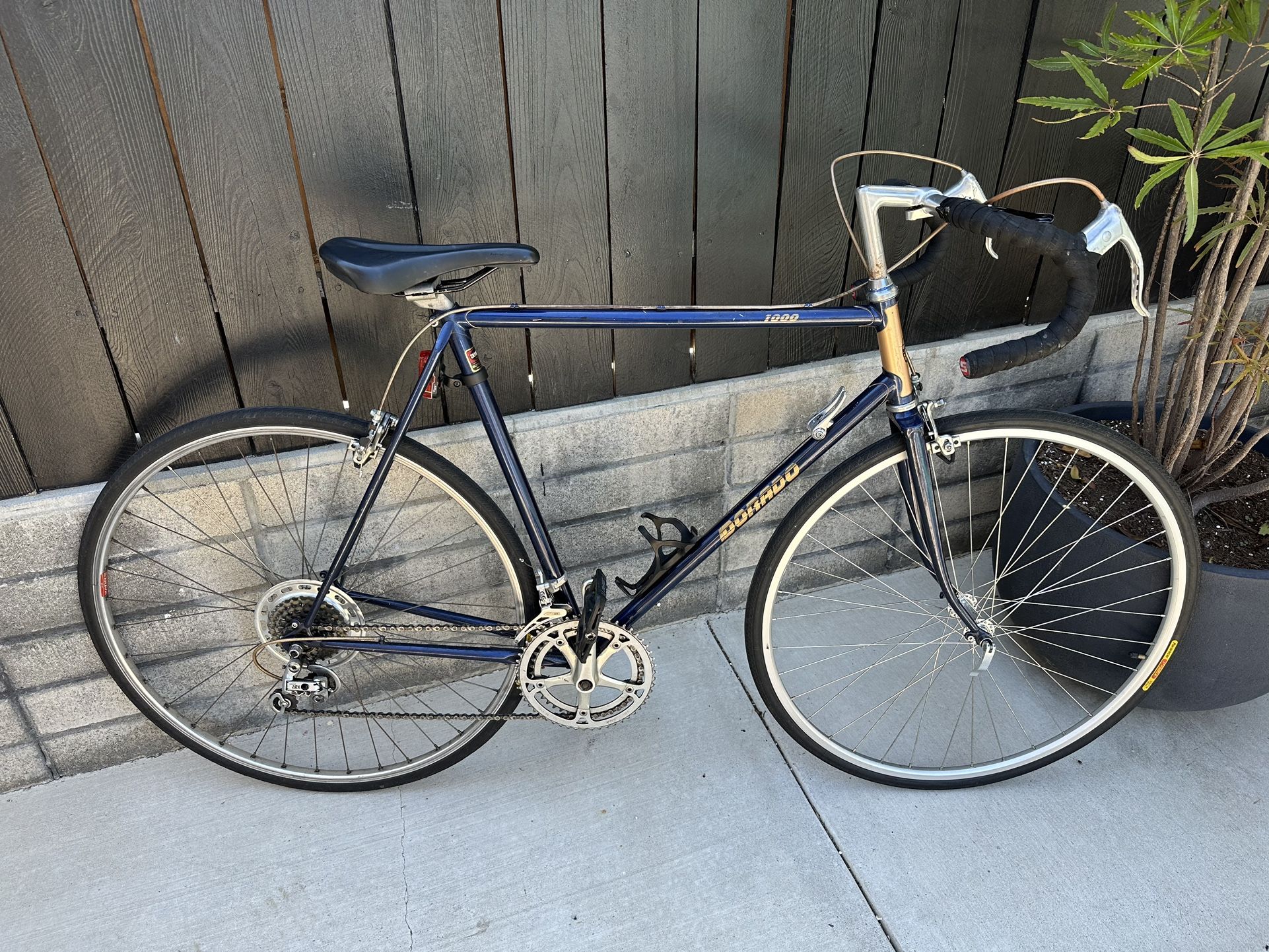 Vintage Dorado 1000 Road Bike 