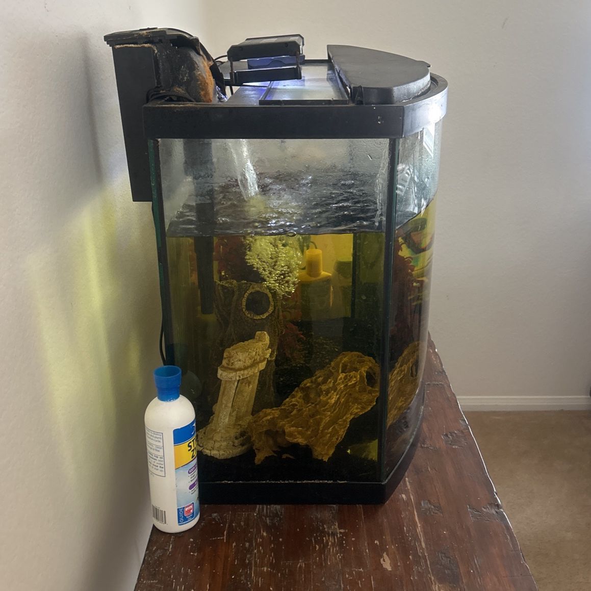 36 Gallon Glass Bow Tank With Metal /Wood Stand