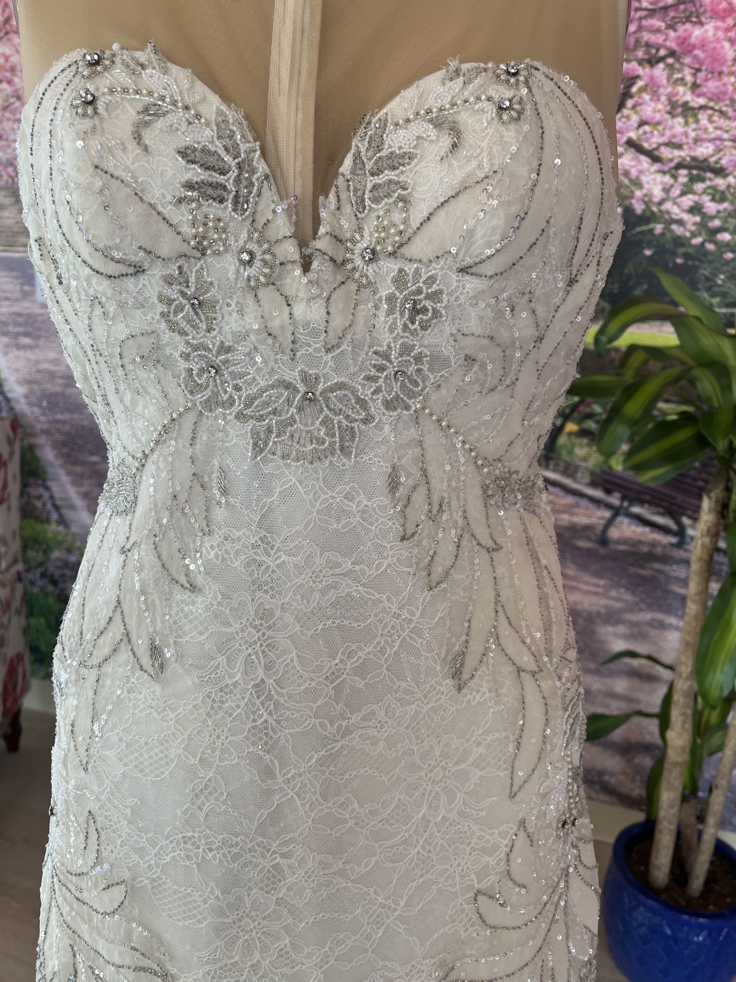 Wedding Dress 👰♀️