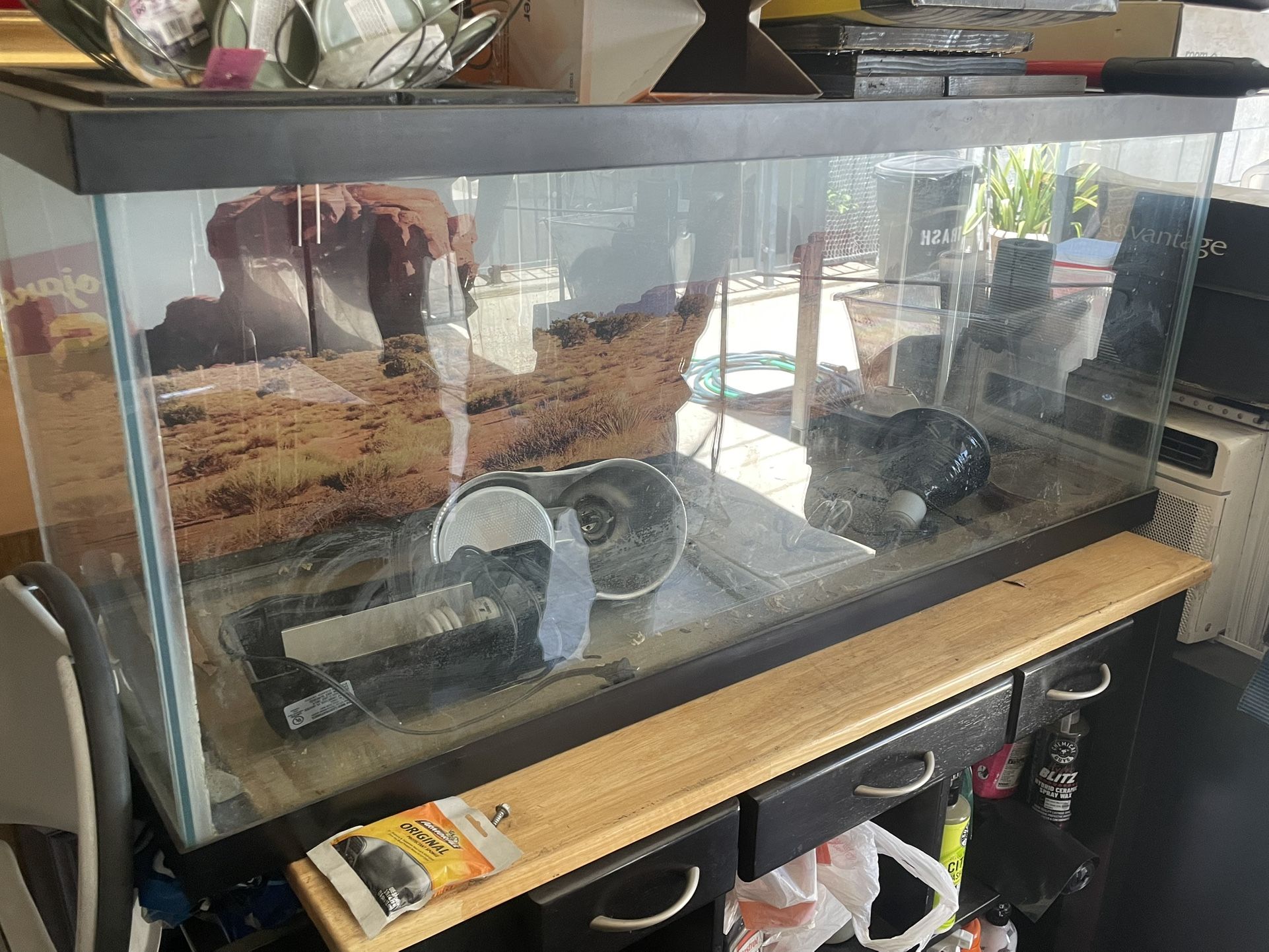 Lights And Lizard Tank 