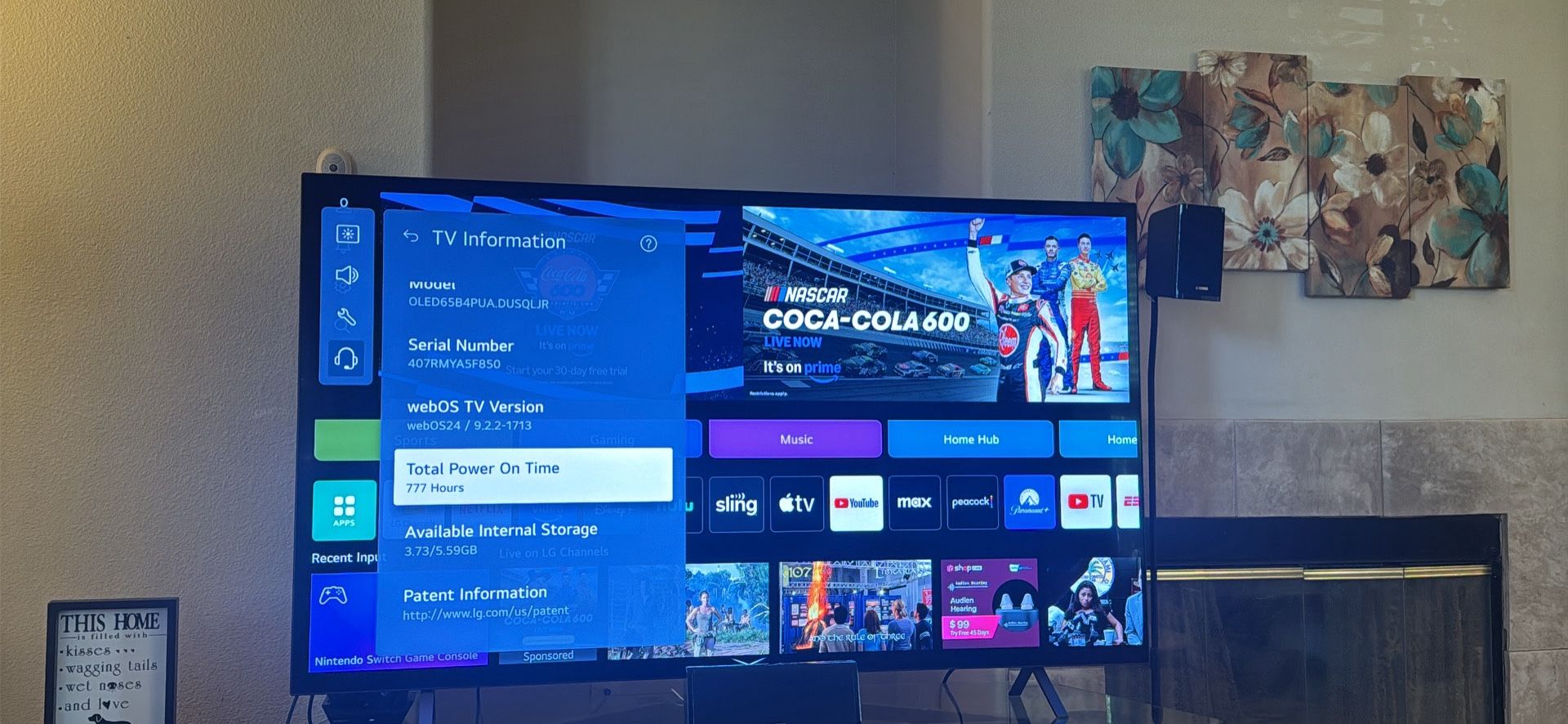 Lg B4 OLED
