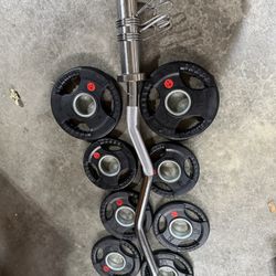 Olympic Weights Curl Bar Set