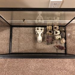 Fish Tank And Accessorie