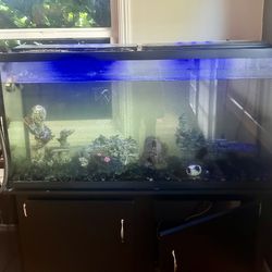 Free 65 Gallon Tank And Stand 