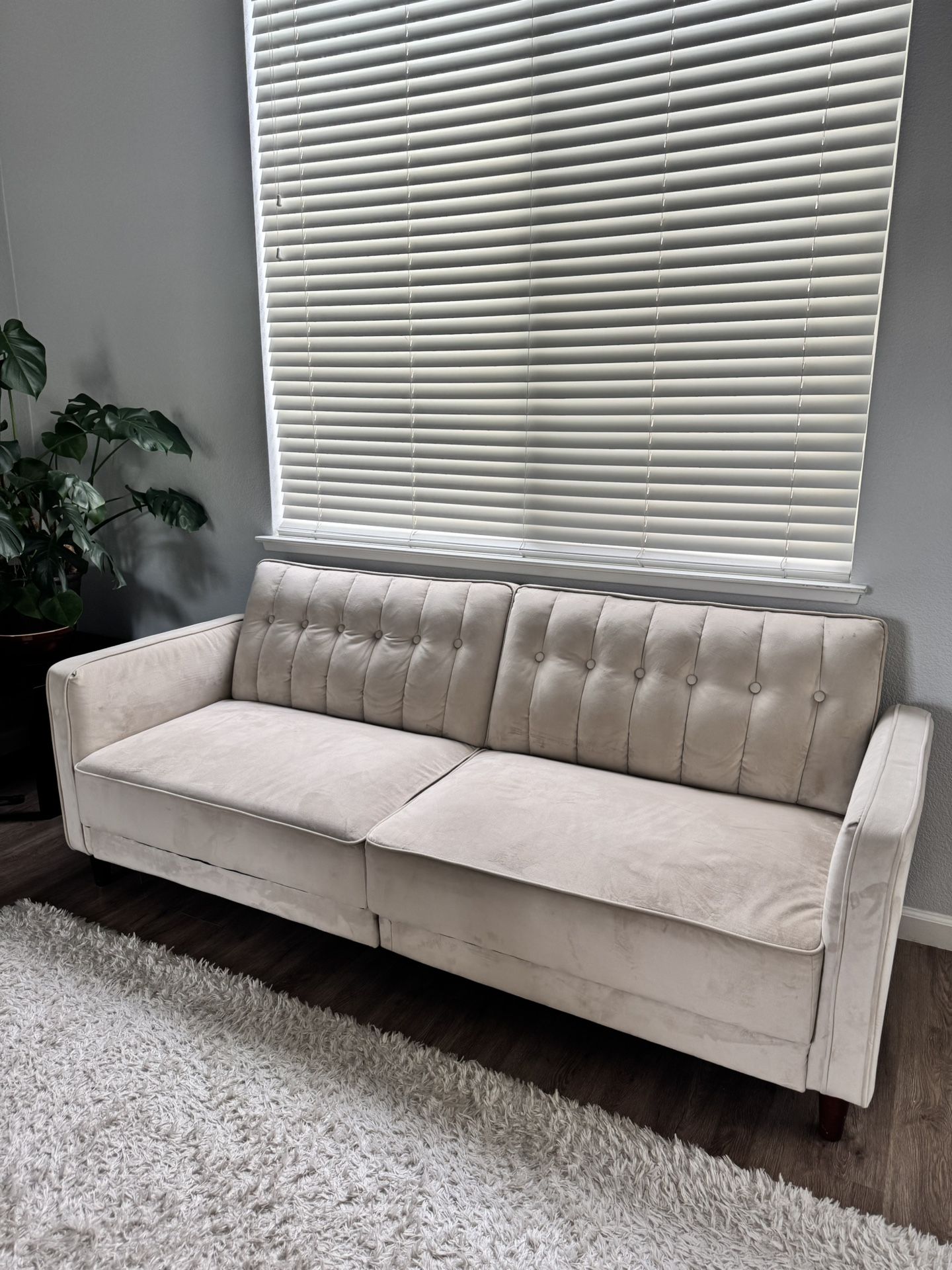 Pull Out Couch (Sleeping Sofa)