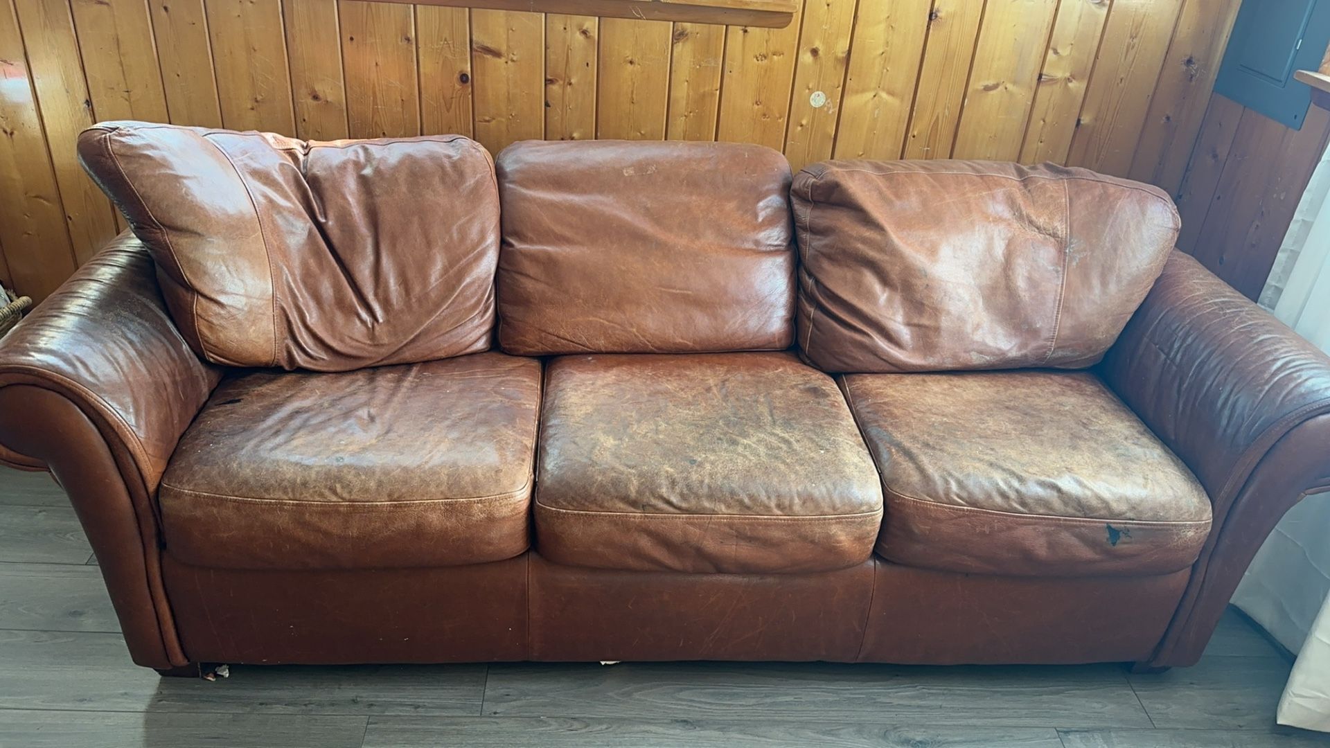 Free Sofa-bed Leather Couch 