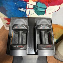 PowerBlock adjustable dumbbells with stand in great condition.