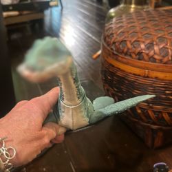 Another Jurassic Park dinosaur