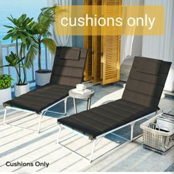Two Lounge Chair Cushions 