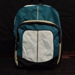 Costco Backpack 