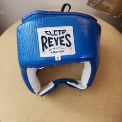 Clemons Reyes Amateur Professional