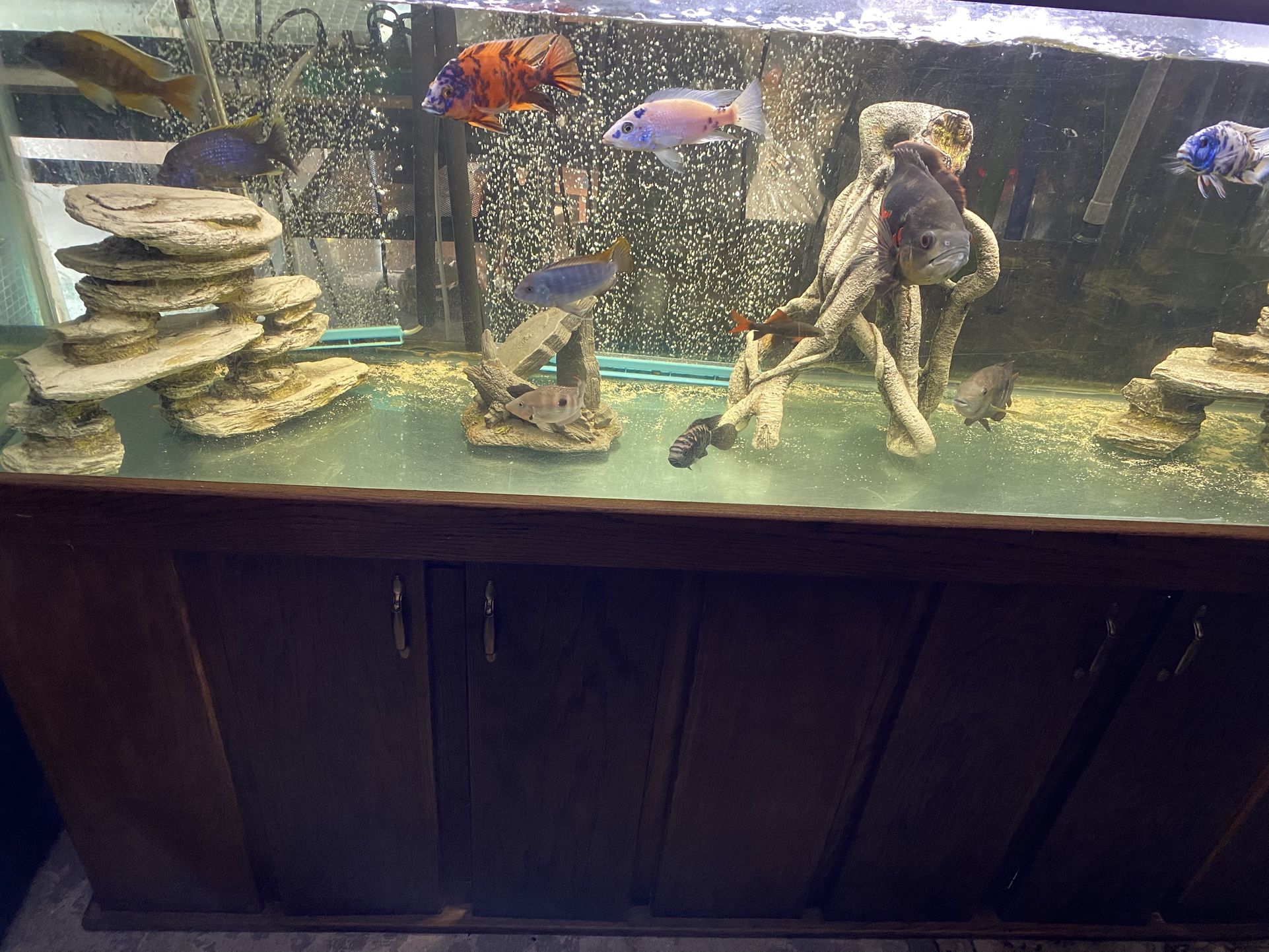 125 GALLON FISH TANK AND STAND