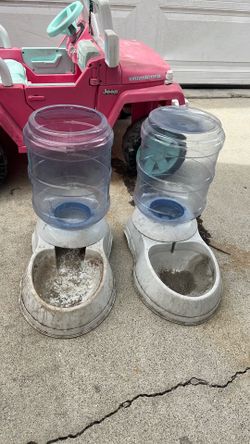 Pet feeder and water