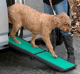 Dog Ramp