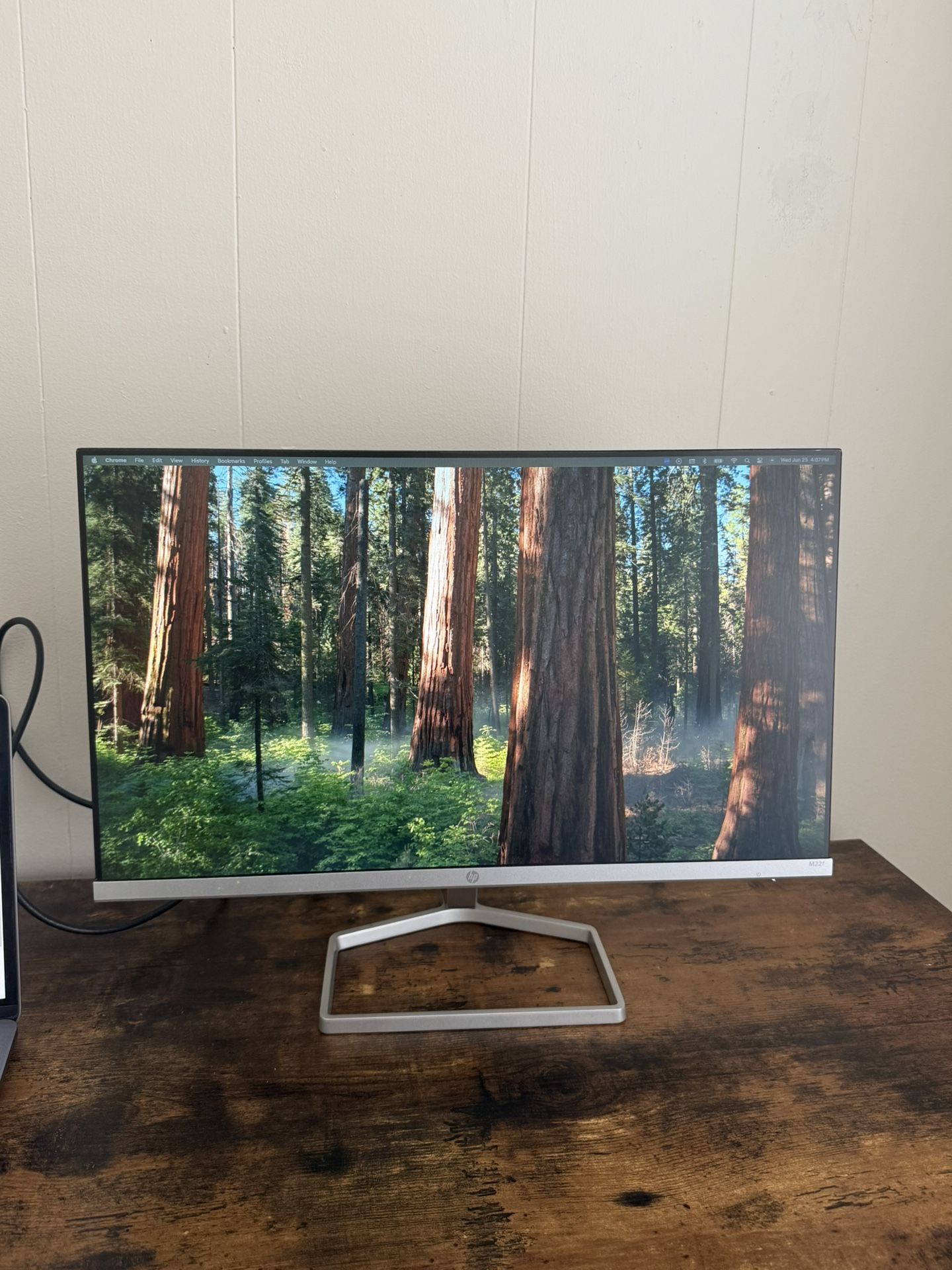 HP monitor