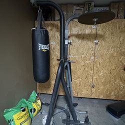 Boxing BAG AND the Stand That Comes With It 