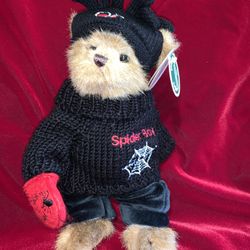 2007 Retired Webster Spider  Boy From The Bearington Bear Collection