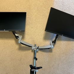 Dual Monitors with Arms