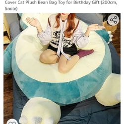 Bean Bag Chair