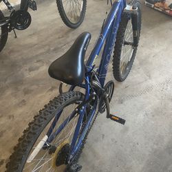 Blue Kids Bike 