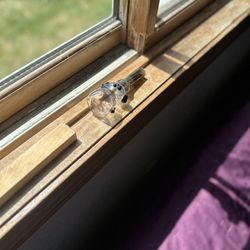 Glass Bubbler 