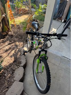 Bicycle