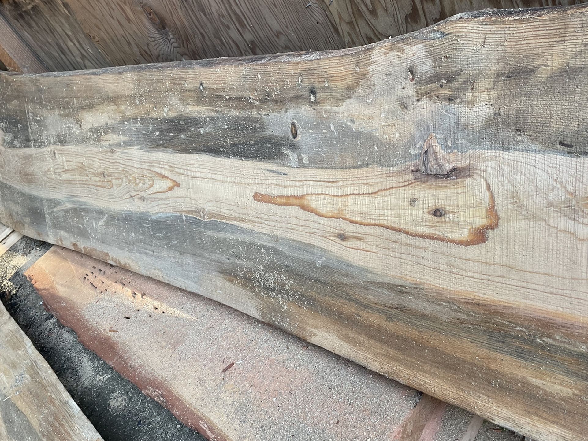 Beautiful Blue Stain Pine Live Edge Wood Slab