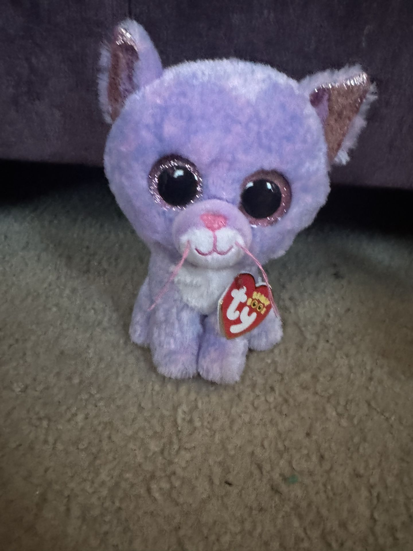 Ty Beanie Boo Cassidy 2021 Cat