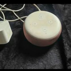 Amazon Echo Dot