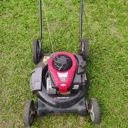 Push Mower 100
