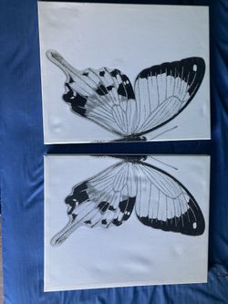 Set Of Butterflies Painting