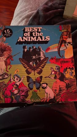 The Animals