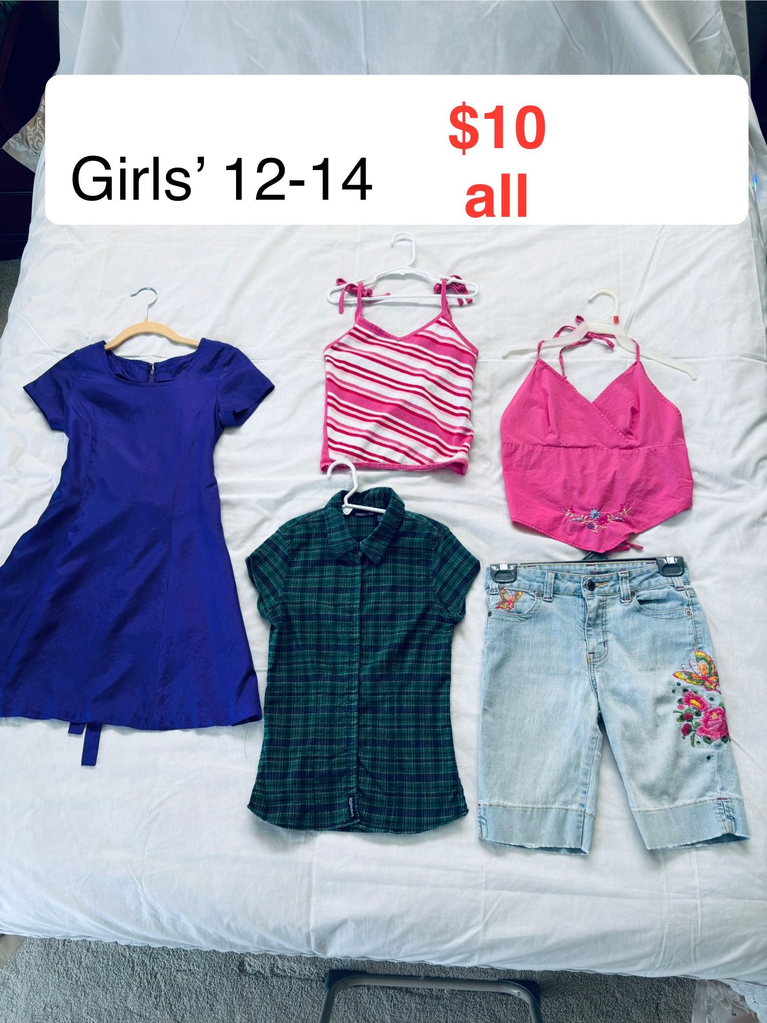 Bundle : Girls’ clothing, size 12-14