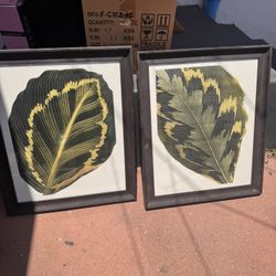 Wall Art Frames 