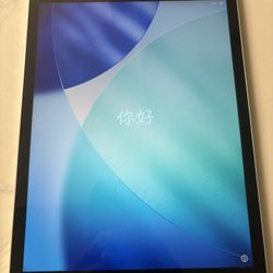 iPad 9th Generation (small cracks)