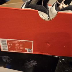 Jordan Air Dunk Low Jumbo