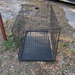 Big Dog Crate 