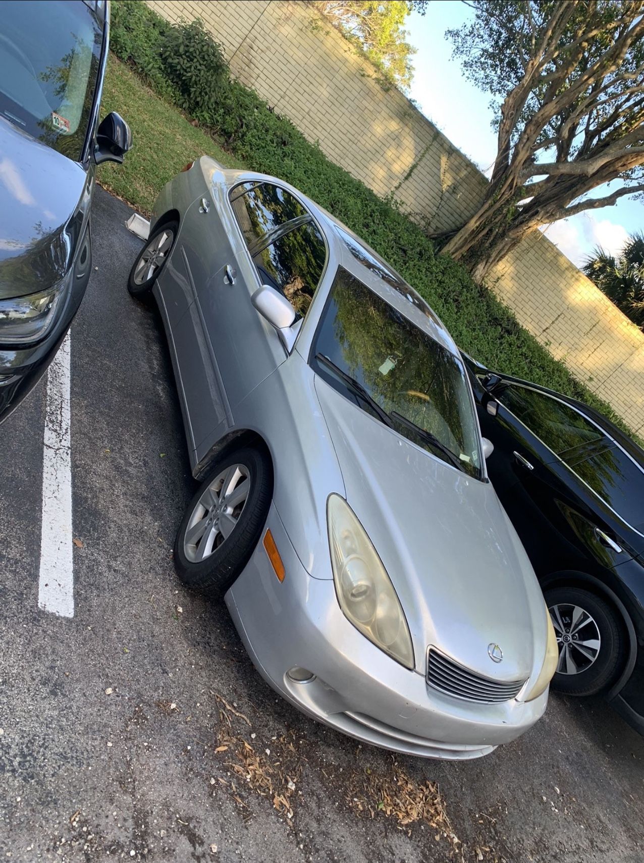 2006 Lexus ES 330