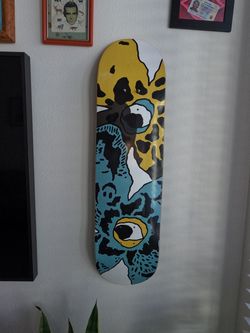Graphic skateboard-deck wall art