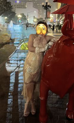 1920s Great Gatsby Dress